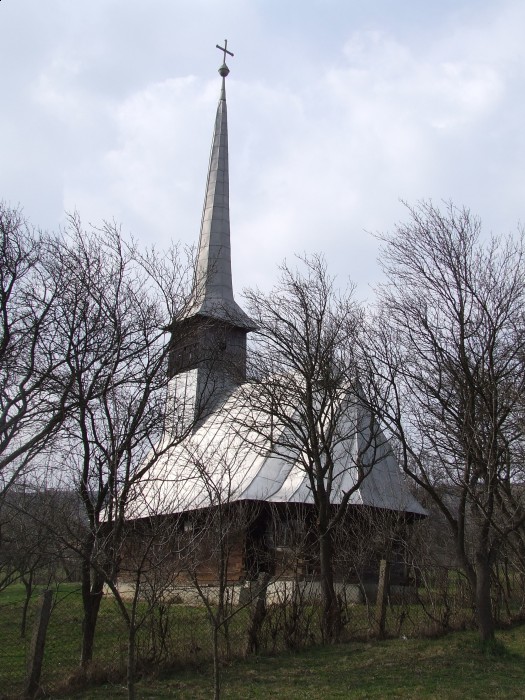 Biserica de lemn "Sf. Arhangheli Mihail si Gavriil" - 161, sat POIENITA; comuna BABENI, district Salaj