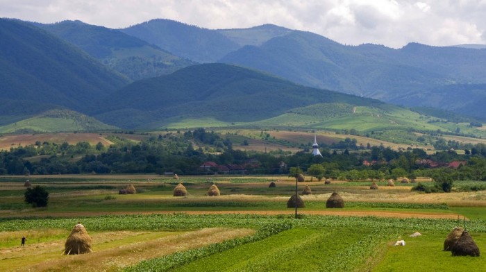 Biserica de lemn "Sf. Ioan Teologul" - 126, sat BRADET; comuna BUNTESTI, judetul Bihor