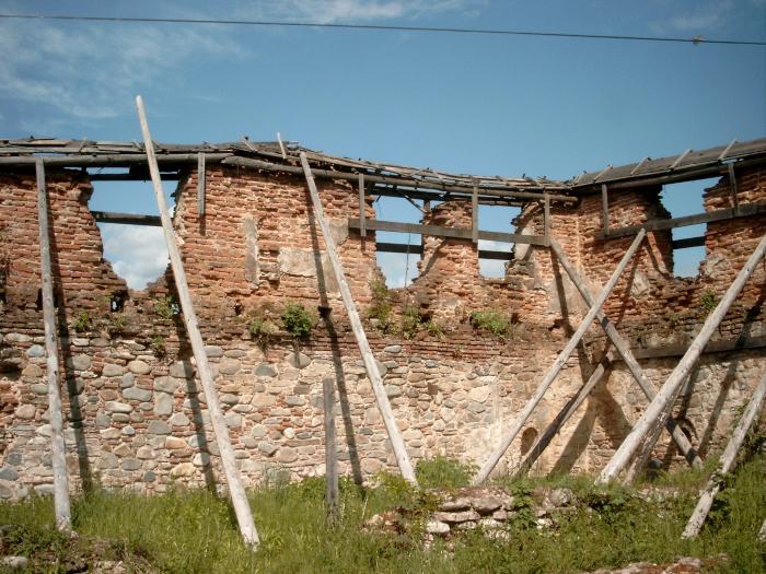 Ruine zid de incinta - , sat FEDELESOIU; comuna DAESTI, district Valcea
