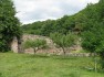 Ruine Bolniţă