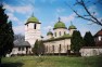 Mănăstirea Negru Vodă