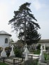 Ansamblul cimitirului mănăstirii Ciorogârla - Samurcăşeşti