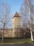 Ansamblul fortificaţiiilor oraşului: Poarta de nord a cetăţii - azi locuinţă, Turnul Octogonal, Turnul Croitorilor, Turn, Turnul semicircular-azi spaţiu comercial, curtine