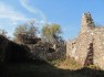 Ruinele caselor domneşti Basarab I