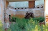 Vila Albatros