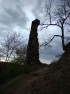 Cetatea Şoimoş (ruine)