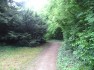 Parc (rezervaţie dendrologică)