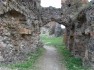 Cetatea Şoimoş (ruine)