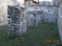 Ruine casă domnească