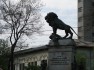 Monumentul eroilor din arma geniului - Leul